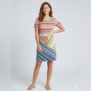 Striped Multicolor Swim Dress